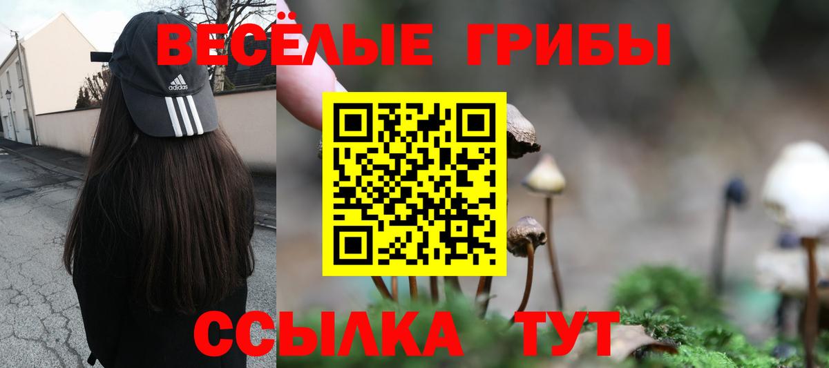 Партизанск  Галлюциногенные грибы ЛСД  Вход с VPN  Псилоцибиновые грибы мицелий 